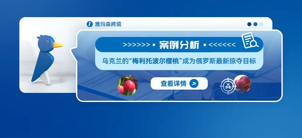案例分析：乌克兰的“梅利托波尔樱桃”成为俄罗斯最新掠夺目标